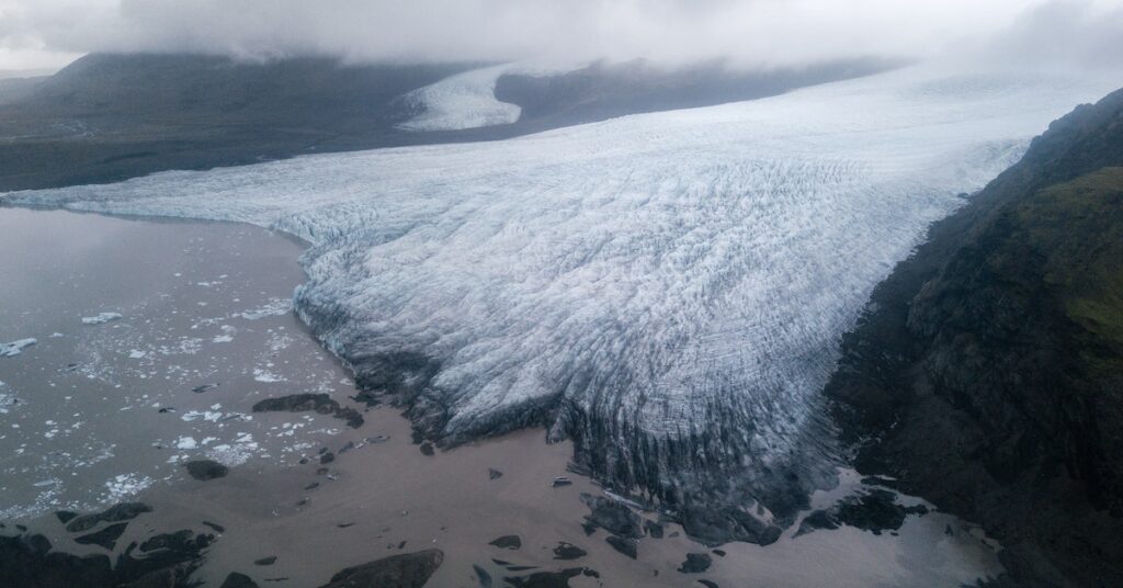 Climate Change Affecting Arctic Habitat Loss