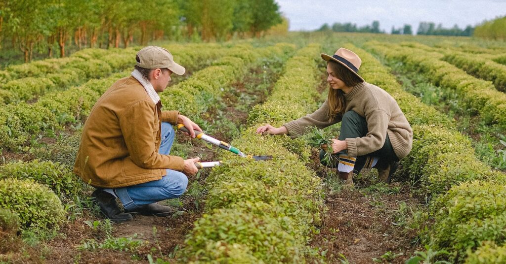 Make Your Own Fertilizer