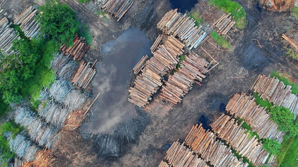 Deforestation Dilemma: The Alarming Impact on Climate Change