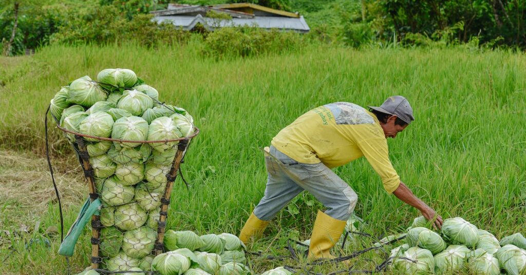 climate change adaptation strategies for the agricultural sector