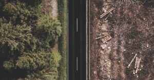 The link between deforestation and climate change: A deep dive