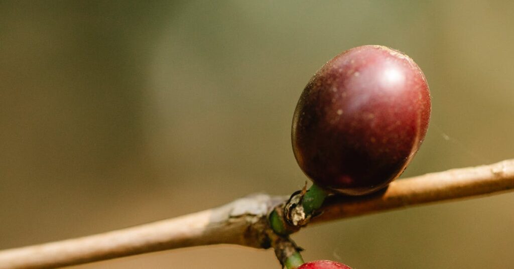 Deforestation's Connection to Global Food Security